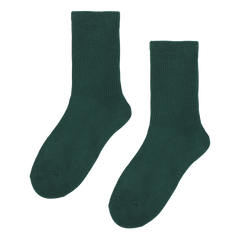 Superga 100th Anniversary Socks Green